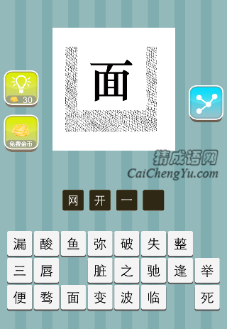 网里面一个面字是什么成语