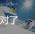 看图猜成语奔跑滑雪橇答案及猜法分析全解