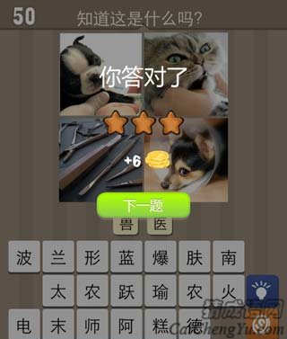 看图猜成语狗猫镊子狗玩家猜法经验分享