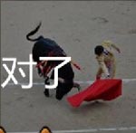 看图猜成语西班牙斗牛是最古老的竞技比赛