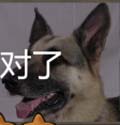 看图猜成语建筑德国牧羊犬贝多芬猜法经验分享