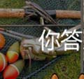 看图猜成语渔船渔具和鱼的答案玩家经验分享