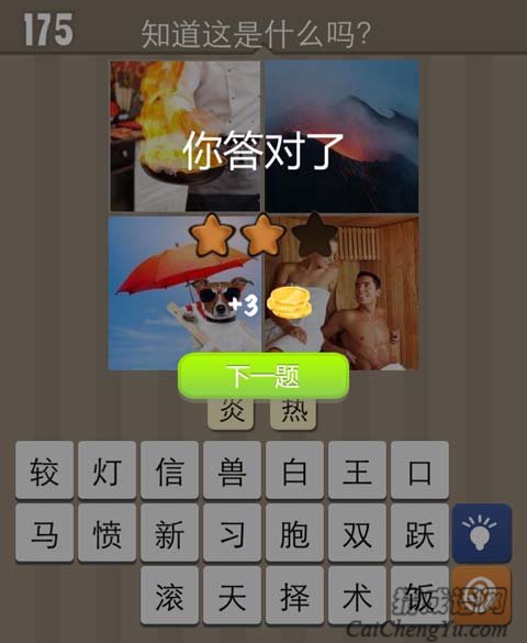 厨师炒菜小狗打伞火山喷发这个夏季很炎热