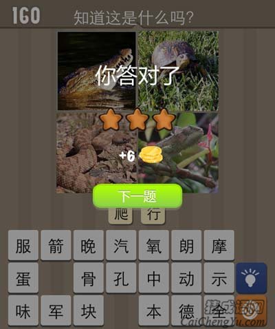 看图猜成语鳄鱼蛇青蛙乌龟爬行动物集中营