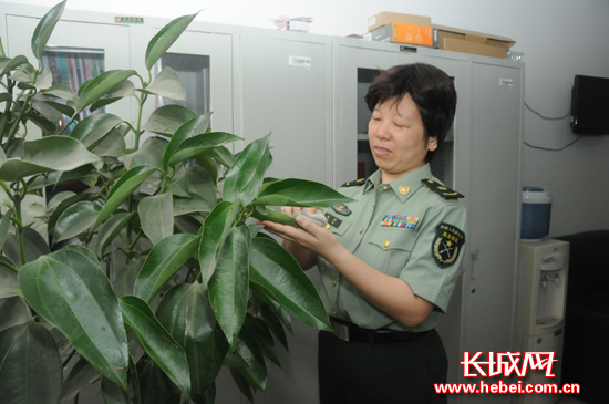 300英雄三笠出装_《自由之翼》“自由之翼三区