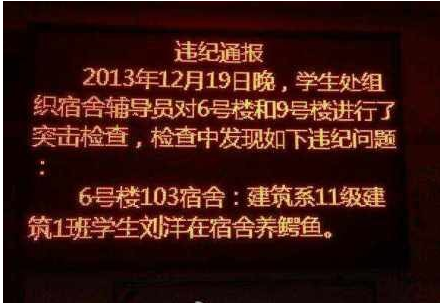 鳄鱼哥_驰骋他乡LMQ天赐鳄鱼哥登顶美服最强王者