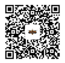 统治战场怎么玩_支招：换标后你要怎么玩？
