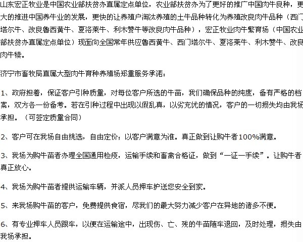 炫斗之王什么时候公测_天天炫斗什么时候公测？