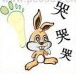 疯狂猜成语一只兔子在哭哭哭,旁边有一个脚丫答案是什么?