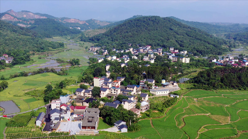 猜一个红色灯泡是什么成语_桂林市全州县才湾镇南一村