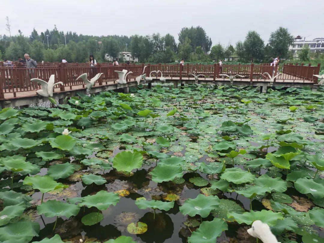 什么月成语疯狂猜成语_疯狂猜成语我在山底下月在半空挂答案是什么