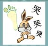 《看图猜成语》答案大全-彩色图画类