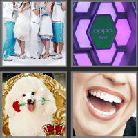 快乐家族_看图拼字答案及图片