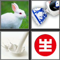 大白兔奶糖_看图拼字答案及图片