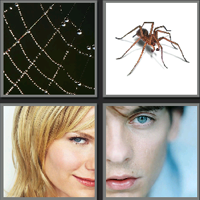 蜘蛛侠_看图拼字答案及图片