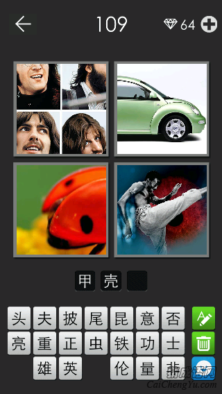 甲壳虫_看图拼字答案及图片