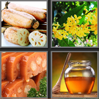 桂花糖藕_看图拼字答案及图片