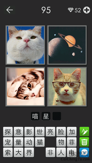 喵星人_看图拼字答案及图片