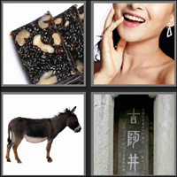 阿胶_看图拼字答案及图片