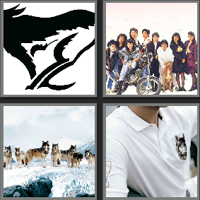 七匹狼_看图拼字答案及图片