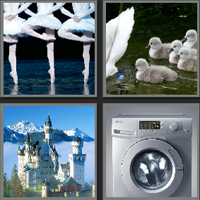 小天鹅_看图拼字答案及图片