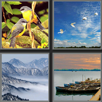 绝句_看图拼字答案及图片