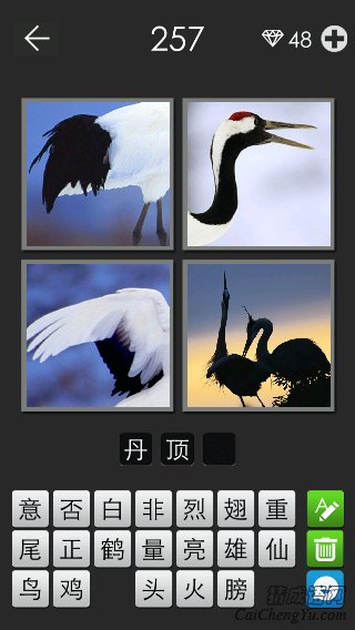 丹顶鹤_看图拼字答案及图片