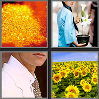 金粉世家_看图拼字答案及图片