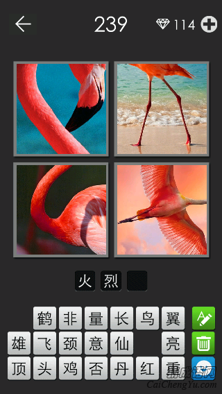 火烈鸟_看图拼字答案及图片