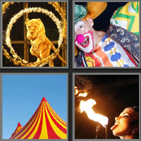 马戏团_看图拼字答案及图片