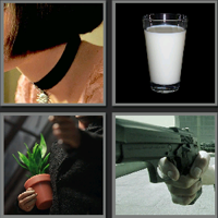 这个杀手不太冷_看图拼字答案及图片