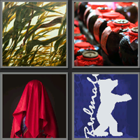 红高粱_看图拼字答案及图片